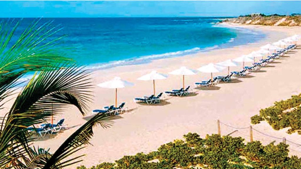 GOA-IMAGE