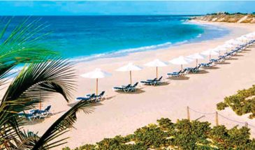 GOA