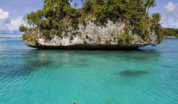 EXOTIC- ANDAMAN